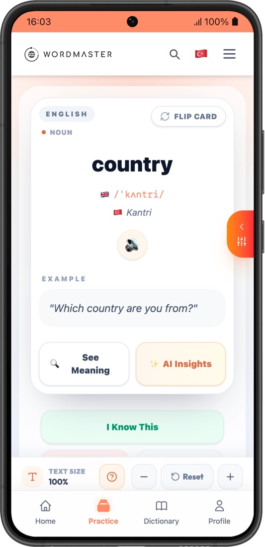 WordMaster — 3